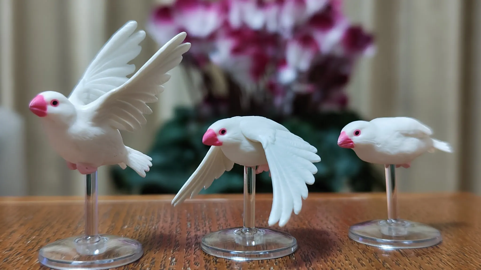 Tarlin กระจอก Java Sparrow น่า - Capsule Toy Gashapon บทวิจารณ์และราคา