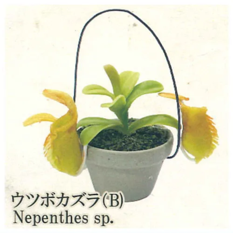 ของเล่นแคปซูลกาชาปองญี่ปุ่น รู - Capsule Toy Gashapon บทวิจารณ์และราคา