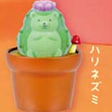 ของเล่นแคคตัสสุดน่ารักสไตล์คาว - Capsule Toy Gashapon บทวิจารณ์และราคา